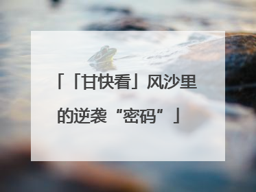 「甘快看」风沙里的逆袭“密码”