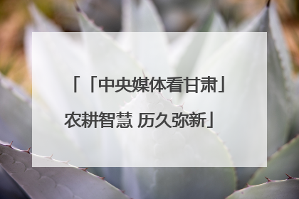 「中央媒体看甘肃」农耕智慧 历久弥新