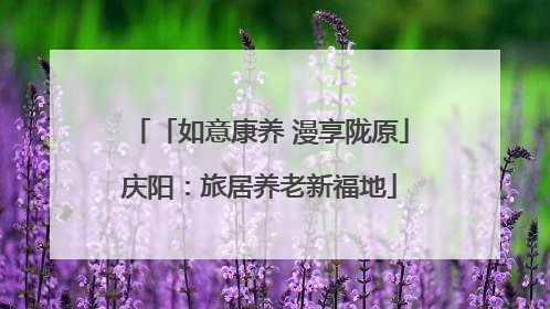 「如意康养 漫享陇原」庆阳：旅居养老新福地