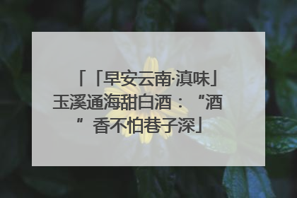 「早安云南·滇味」玉溪通海甜白酒：“酒”香不怕巷子深