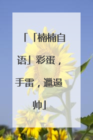 「楠楠自语」彩蛋，手雷，邋遢帅