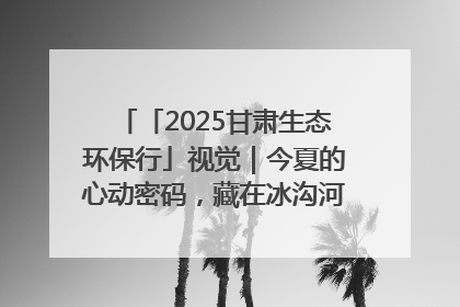 「2025甘肃生态环保行」视觉｜今夏的心动密码，藏在冰沟河的潋滟波光里