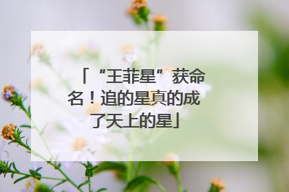 “王菲星”获命名！追的星真的成了天上的星