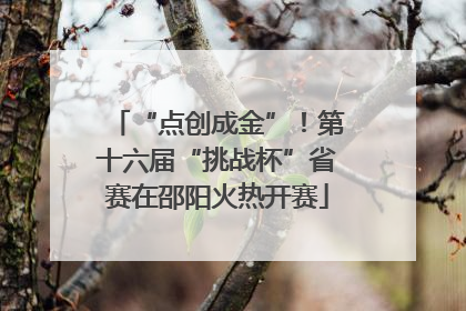 “点创成金”！第十六届“挑战杯”省赛在邵阳火热开赛