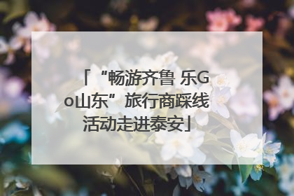 “畅游齐鲁 乐Go山东”旅行商踩线活动走进泰安