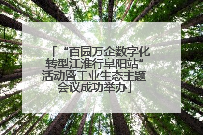 “百园万企数字化转型江淮行阜阳站”活动暨工业生态主题会议成功举办