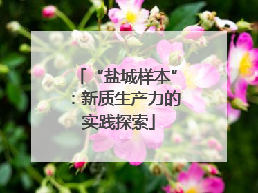 “盐城样本”：新质生产力的实践探索