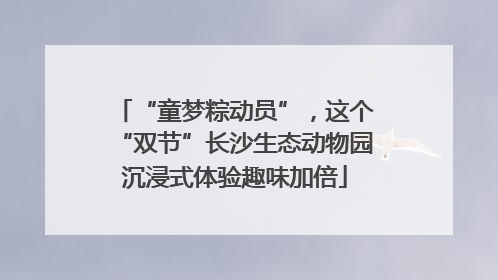 “童梦粽动员”，这个“双节”长沙生态动物园沉浸式体验趣味加倍