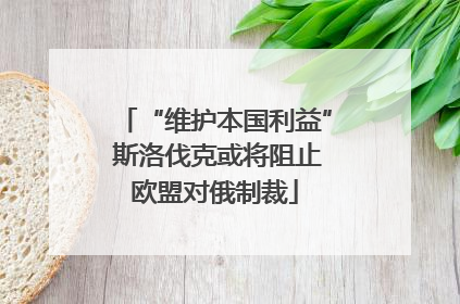 “维护本国利益” 斯洛伐克或将阻止欧盟对俄制裁