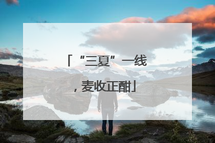 “三夏”一线，麦收正酣