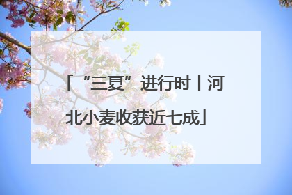 “三夏”进行时丨河北小麦收获近七成