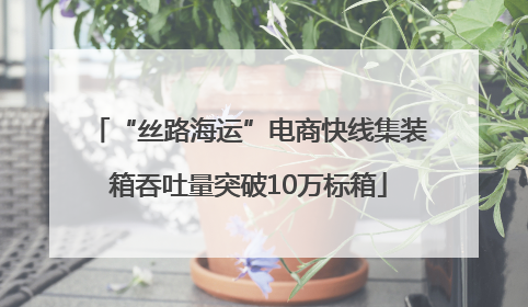 “丝路海运”电商快线集装箱吞吐量突破10万标箱