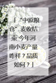 “中原粮仓”麦收结束 今年河南小麦产量咋样？品质如何？