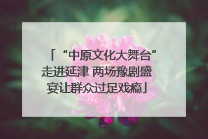 “中原文化大舞台”走进延津 两场豫剧盛宴让群众过足戏瘾
