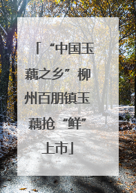 “中国玉藕之乡”柳州百朋镇玉藕抢“鲜”上市