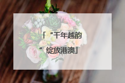 “千年越韵”绽放港澳
