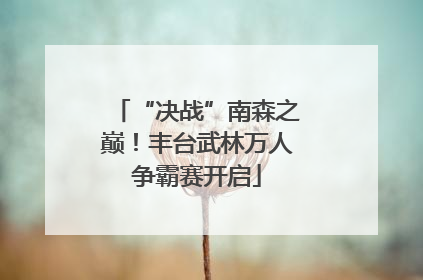 “决战”南森之巅！丰台武林万人争霸赛开启