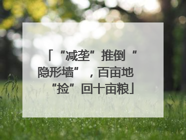 “减垄”推倒“隐形墙”，百亩地“捡”回十亩粮