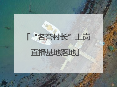 “名誉村长”上岗 直播基地落地
