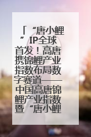 “唐小鲤”IP全球首发！高唐携锦鲤产业指数布局数字赛道——中国高唐锦鲤产业指数暨“唐小鲤”IP全球首发仪式在杭州举行