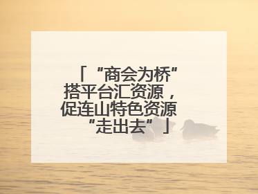 “商会为桥”搭平台汇资源，促连山特色资源“走出去”