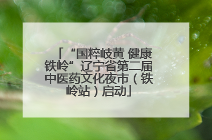 “国粹岐黄 健康铁岭”辽宁省第二届中医药文化夜市（铁岭站）启动