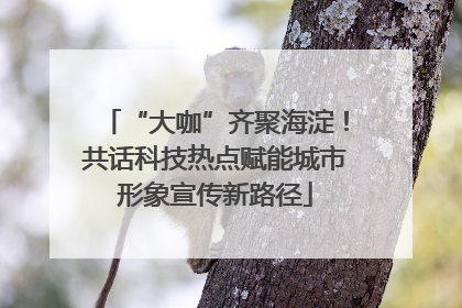 “大咖”齐聚海淀！共话科技热点赋能城市形象宣传新路径