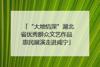 “大地情深”湖北省优秀群众文艺作品惠民展演走进咸宁