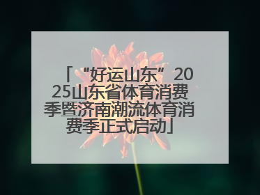 “好运山东”2025山东省体育消费季暨济南潮流体育消费季正式启动