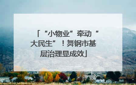 “小物业”牵动“大民生”！舞钢市基层治理显成效