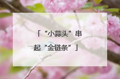 “小蒜头”串起“金链条”