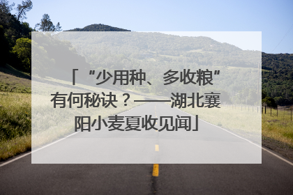 “少用种、多收粮”有何秘诀？——湖北襄阳小麦夏收见闻
