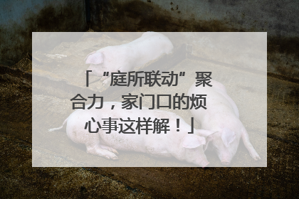 “庭所联动”聚合力，家门口的烦心事这样解！