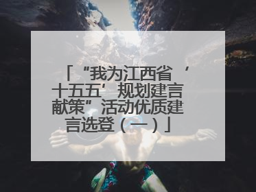 “我为江西省‘十五五’规划建言献策”活动优质建言选登（一）