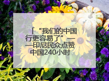 “我们的中国行更容易了”——印尼民众点赞中国240小时过境免签政策