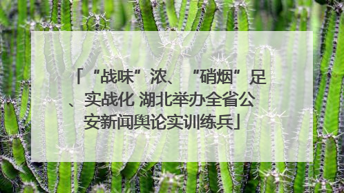 “战味”浓、“硝烟”足、实战化 湖北举办全省公安新闻舆论实训练兵
