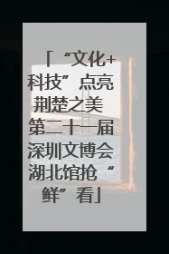 “文化+科技”点亮荆楚之美 第二十一届深圳文博会湖北馆抢“鲜”看
