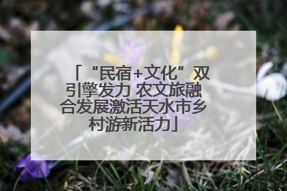 “民宿+文化”双引擎发力 农文旅融合发展激活天水市乡村游新活力