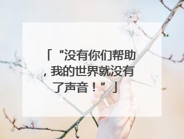 “没有你们帮助，我的世界就没有了声音！”