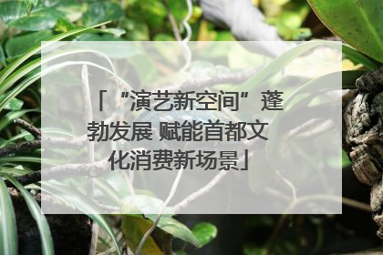 “演艺新空间”蓬勃发展 赋能首都文化消费新场景
