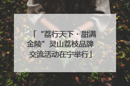 “荔行天下・甜满金陵”灵山荔枝品牌交流活动在宁举行