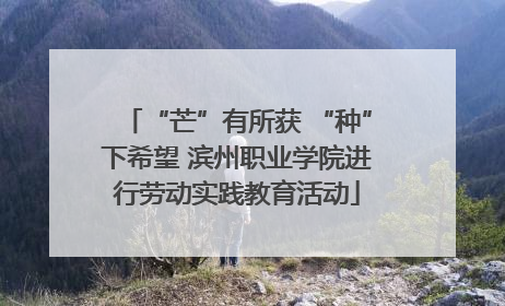 “芒”有所获 “种”下希望 滨州职业学院进行劳动实践教育活动