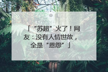 “苏超”火了！网友：没有人情世故，全是“恩怨”