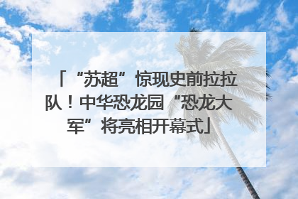 “苏超”惊现史前拉拉队！中华恐龙园“恐龙大军”将亮相开幕式