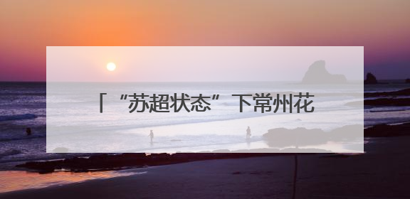 “苏超状态”下常州花式整活：游玩消费享抽奖机会，首轮特等奖将送理想 L6 Pro