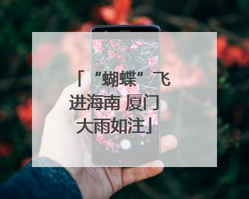 “蝴蝶”飞进海南 厦门大雨如注