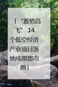 “蓄势高飞” 14个低空经济产业项目落地成都都市圈