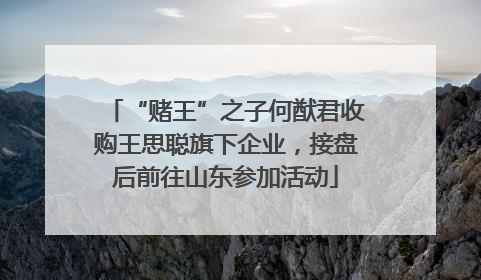 “赌王”之子何猷君收购王思聪旗下企业，接盘后前往山东参加活动