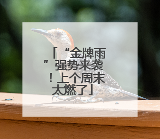 “金牌雨”强势来袭！上个周末太燃了