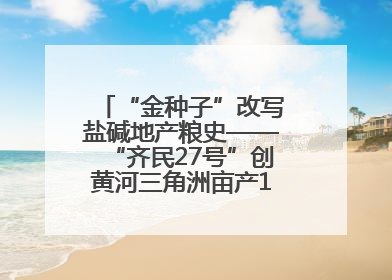 “金种子”改写盐碱地产粮史——“齐民27号”创黄河三角洲亩产1200斤奇迹